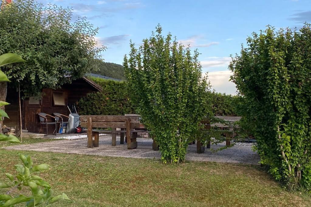 Die Seeblume - Ferienwohnung Mit Pool Und Seeblick Bodman-Ludwigshafen Eksteriør bilde